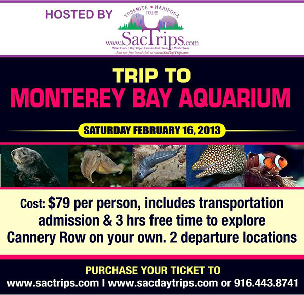 Trip to Monterey Bay Aquarium