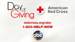 How You Can Help Victims of Hurricane Sandy