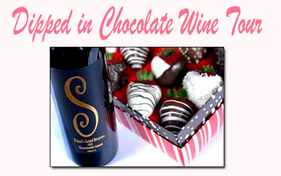 Dipped In Wine Chocolate Tour