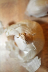 13 for 2013 – Tip #7 of 13 – Garlic