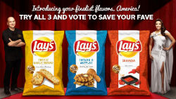 Vote for the New Flavor of Lay’s Potato Chips