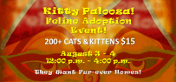Special Kitten Adoption Events This Weekend