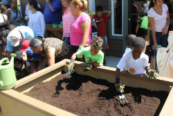 WERE YOU THERE? Community Engagement Initiative: Urban Edible Gardens