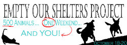 Help Empty Sacramento Animal Shelters This Weekend