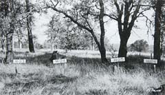 African American veterans buried near El Dorado Hills remain unknown, little honored