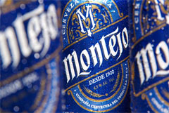 Anheuser-Busch to import Montejo from Mexico