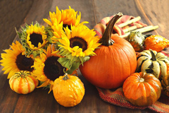 Fun Fall, Harvest and Halloween Family-Friendly Events