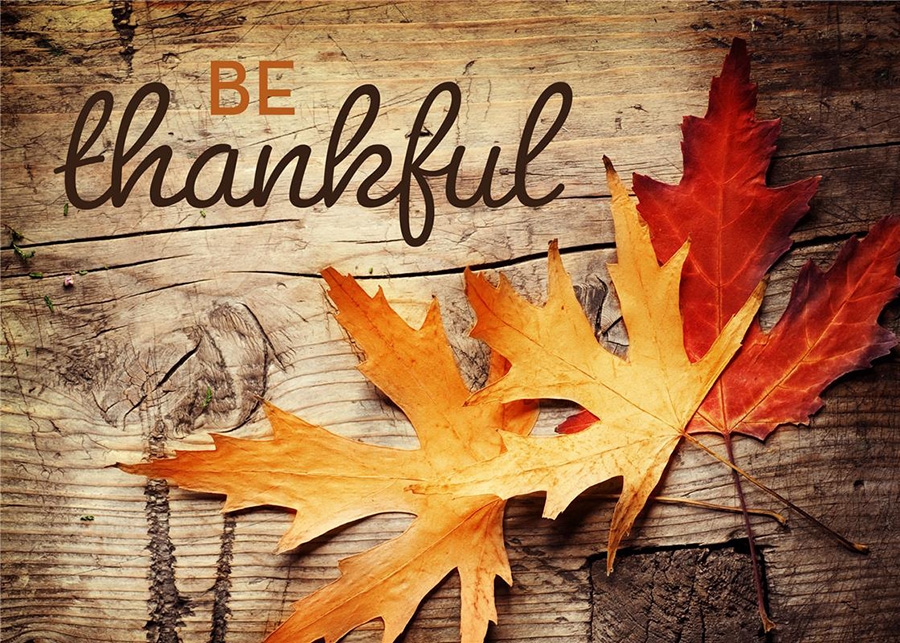 BEING THANKFUL and Reasons Why We Celebrate