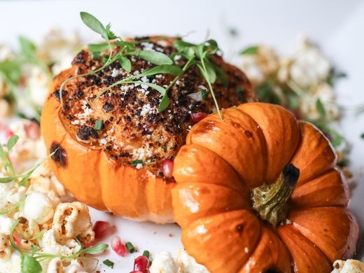 100 places for pumpkin this month