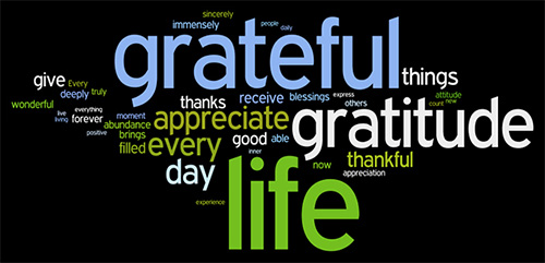 Gratitude = THANKFULNESS