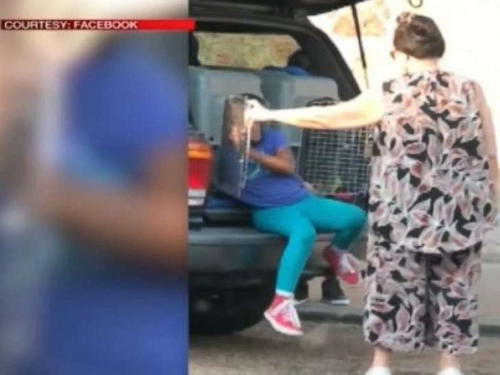 Grandmother arrested for allegedly keeping kids in dog kennels in car