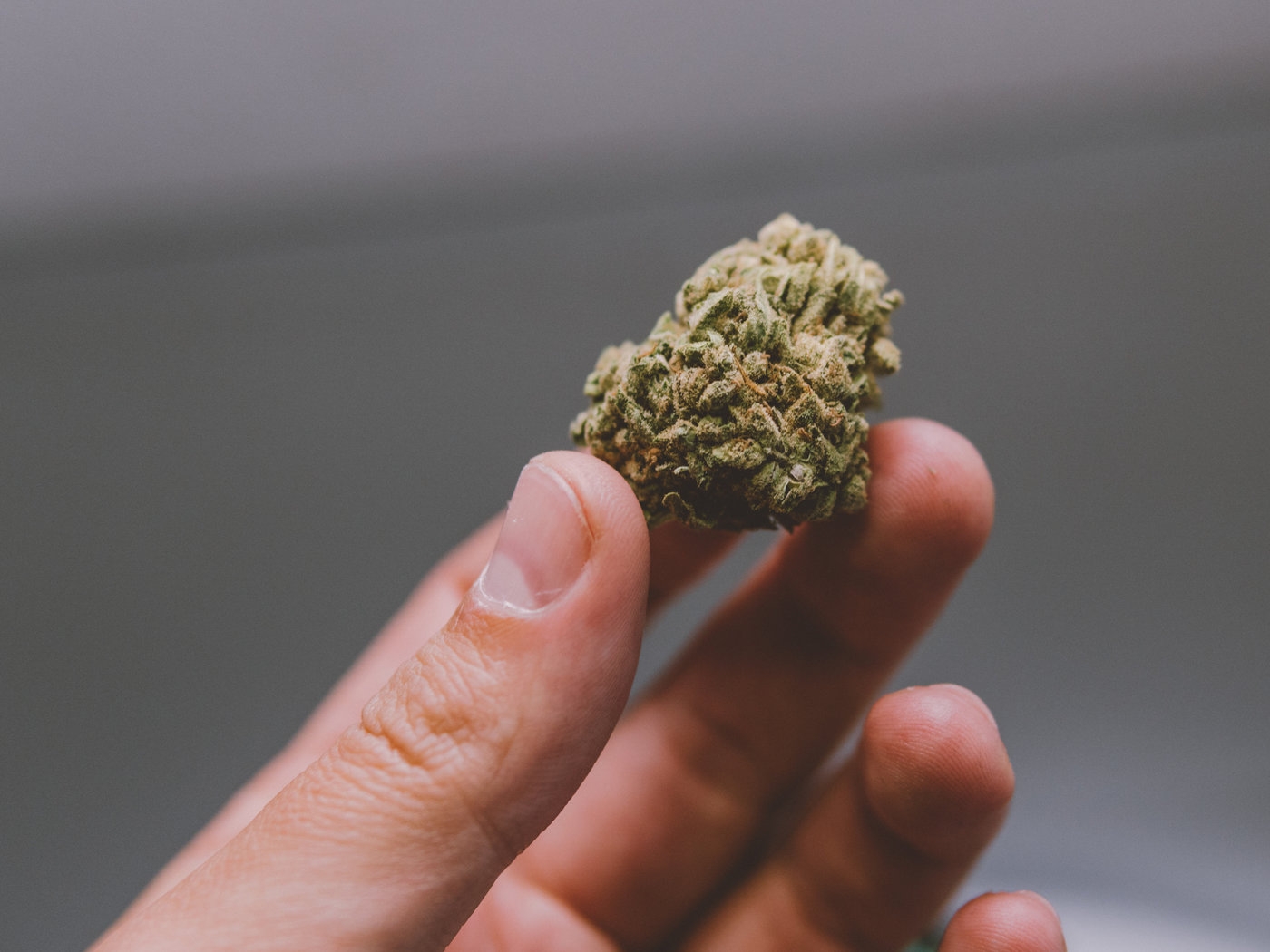 Daily Marijuana Use And Highly Potent Weed Linked To Psychosis