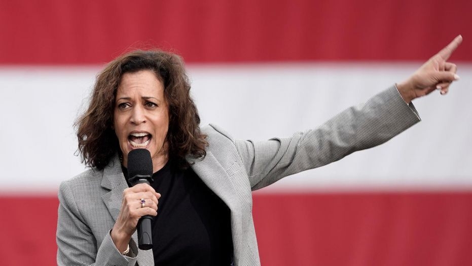 Kamala Harris asks audience if America is ‘ready’ for her presidency, crowd shouts ‘no’