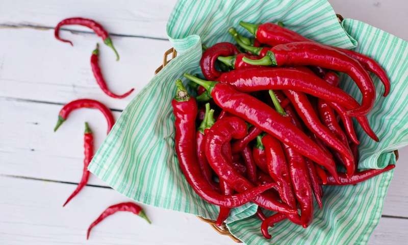 Eating hot peppers could lead to better heart health