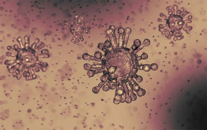 Coronavirus: What are the symptoms?