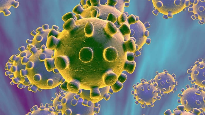 Coronavirus: Fact, Fear, & Faith, and How I’ve Avoided The Flu or A Common Cold For Over 19 Years