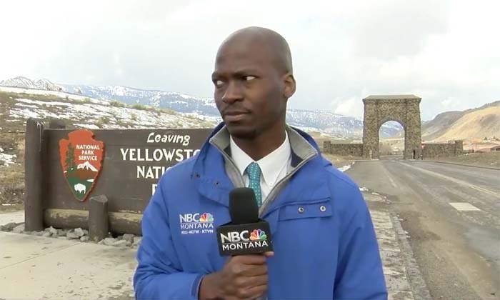 Watch! Bison hilariously interrupt reporter’s stand up