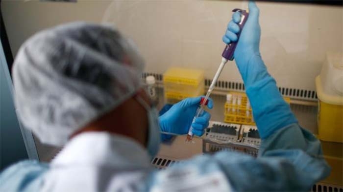 Coronavirus may never go away, World Health Organization warns