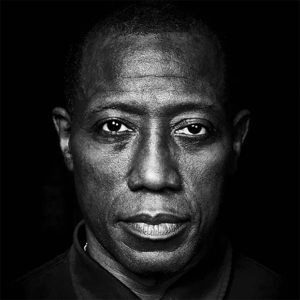 Wesley Snipes on art, excellence and life after prison: ‘I hope I came out a better person’