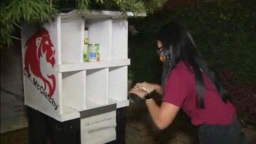 Sacramento teen builds food pantries for people in need