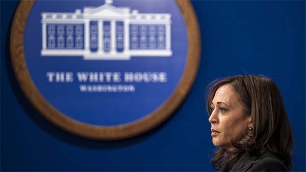 Kamala Harris one year: Where did it go wrong for her?