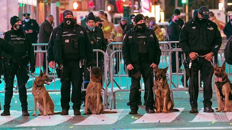Line of police officers with K9s