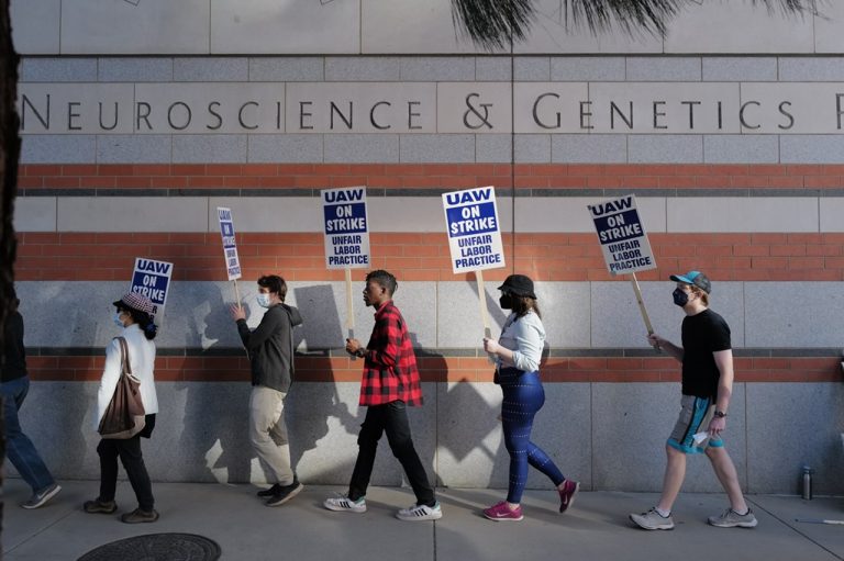 UC Academics Picket Campuses in the Largest Strike of the Year