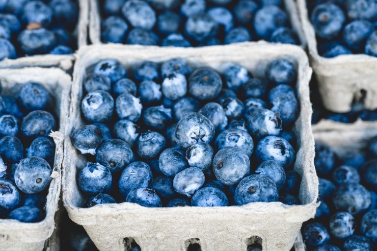 If You Don’t Eat Blueberries Every Day, This Might Convince You to Start