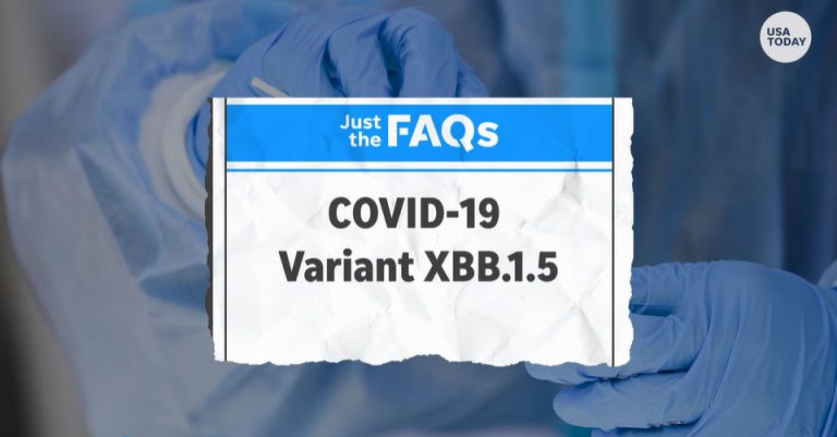 People who haven’t had COVID will likely catch XBB.1.5 – and many will get reinfected, experts say