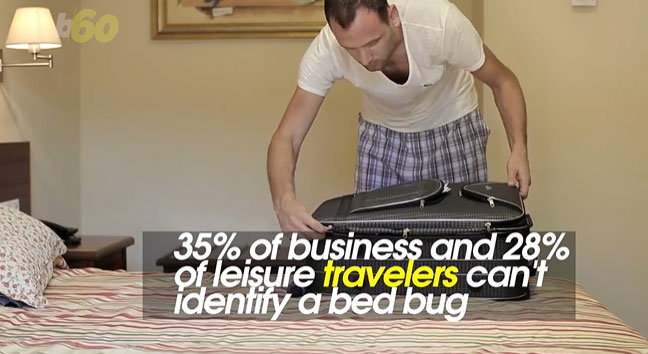 These US cities have the worst bedbugs problems in the nation, according to Orkin