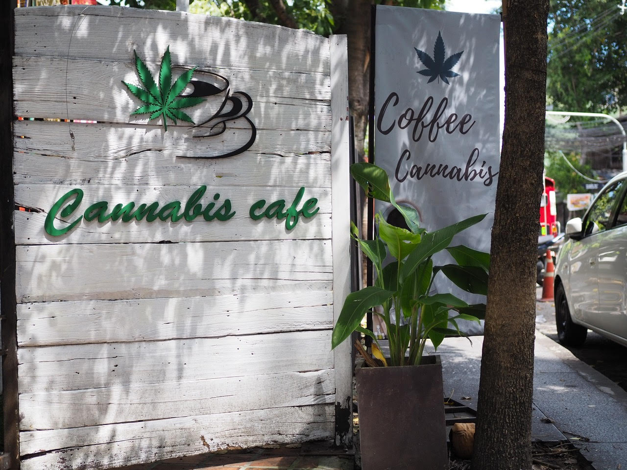 Cannabis in California: Prospect of Legal Cafes Brings Hope; Raises Health Concerns 