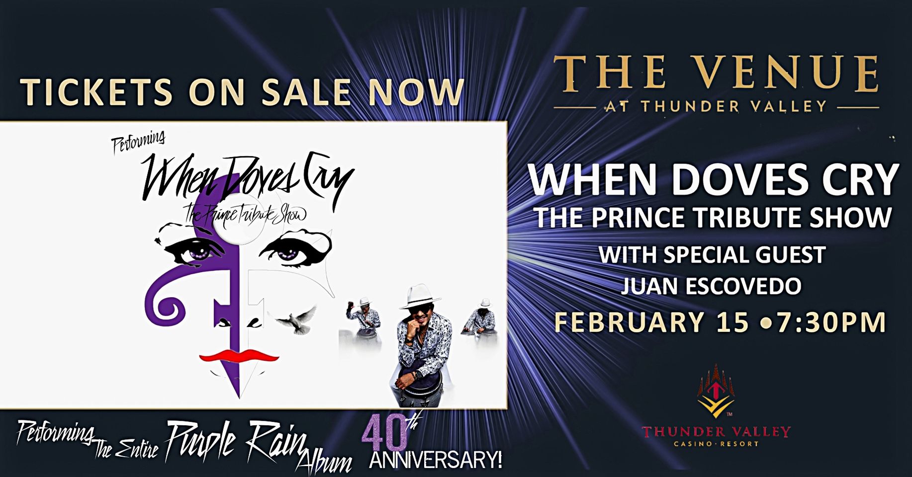 Celebrating the 40th Anniversary of the Purple Rain Album with When Doves Cry Live at The Venue
