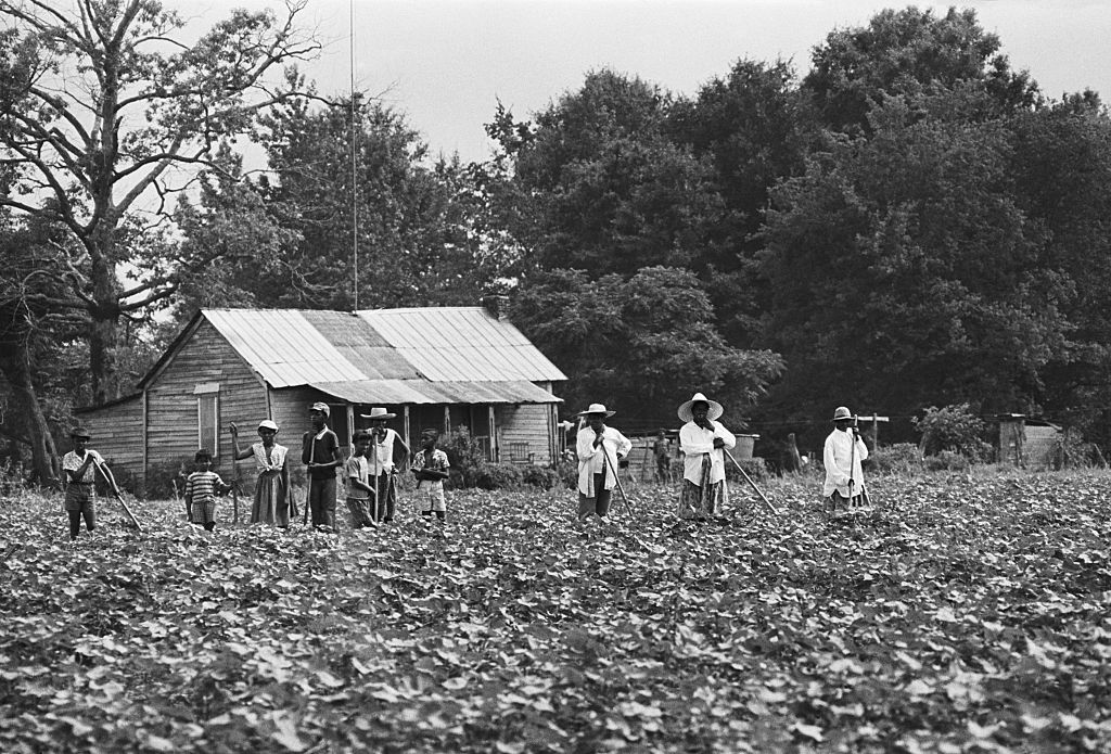 The Quest for Racial Equality Has Always Been Different for Rural Americans